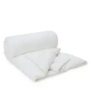 Gingerlily Winter Weight Silk Filled Comforter, Twin