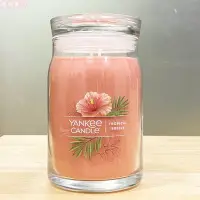 在飛比找Yahoo!奇摩拍賣優惠-【妮蔻美妝】Yankee Candle 熱帶微風 TROPI