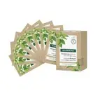 Klorane 2-in-1 Mask Shampoo with Organic Nettle & Clay for Oily Scalp, 8x3g