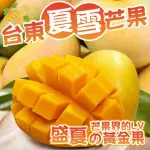 【雪莉朵辣】台東夏雪芒果2.4KG X4盒