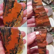 Arizona Agatized Rainbow Opal Petrified Wood 70s Gem Quality 185g Lapidary Rough