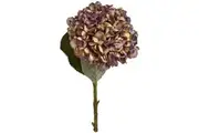 Hill Interiors Artificial Autumn Hydrangea (Coffee) (One Size)