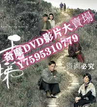 在飛比找Yahoo!奇摩拍賣優惠-DVD專賣店 韓劇 《秘密森林》曹承佑/裴鬥娜 臺灣國語/韓