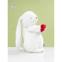 在飛比找蝦皮購物優惠-兔子玩偶520情人節禮物送女友兔禮品毛絨玩具娃娃可愛公仔海灣