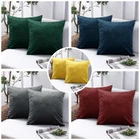 Cushion Covers Sofa Decor Velvet Cushion Cases Throw Pillow Covers Set of 2