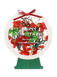 在飛比找誠品線上優惠-【誠品獨家】日本 APJ 聖誕卡片/ 植物標本/ 水晶球造型