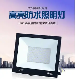 110v LED投光燈 路燈100W 200W戶外防水射燈 室外照明燈 泛光燈 廣告投射燈 戶外燈