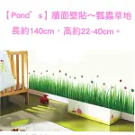 【POND’S】牆面壁貼〜瓢蟲草地/長約140CM