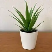 [IKEA] FEJKA Mini Artificial Succulent Desk Plants in Pots 6cm - Set of 2