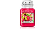 Country Candle Macintosh Apple Scented Candle 453g