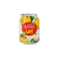在飛比找momo購物網優惠-【HAITAI 海太】韓國水梨汁 238ml