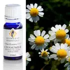 Gumleaf Essentials - Chamomile Roman (3% In Jojoba) Essential Oil - 10ml