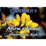 【巴曲花精箴言卡】花卡／彩色照片／巴赫花精／正向語／BACH FLOWER ESSENCE CARDS