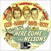 Ozzie and Harriet Radio Show 88 Episodes OTR Old Time Radio on CD DVD