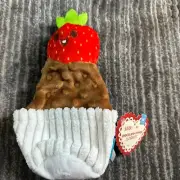 Bark Box Plush Strawberry Dog Toy Dipped M Plush Squeaky Crinkle Tug O War New