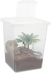 Totority 1 Set Transparent Jumping Spider Cage Escapeproof Plastic Feeding Box for Reptiles Easy Maintenance and Simple Cleaning Habitat for Pet Spiders Noncapturing Design