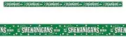 Let Shenanigans Begin St. Patrick's Day Holiday Party Decoration Caution Tape