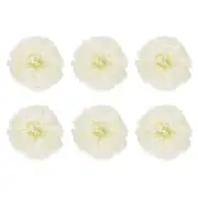 Crepe Paper Flowers, Beige Tissue Paper Flowers - 6 x 6 Inch / 6 Pcs