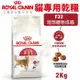 Royal Canin法國皇家 貓專用乾糧2kg F32理想體態成貓 貓糧 (8.3折)