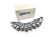 XR6 Turbo Developments Titanium Intake Stud Kit for Ford Falcon XR6 BA BF FG XTD-TISK