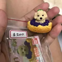 在飛比找蝦皮購物優惠-點心狗 貴賓 柴犬