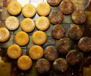 Checker set - Baltic Amber 345 gr - Wholesale