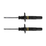2 Front Monroe Original Shocks for Volkswagen Golf 5K1 Jetta 1K2 162 163 AV3 AV2