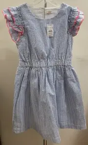 J Crew Crewcuts Girls Striped Dress Size 10 NWT