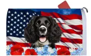 Springer Spaniel Patriotic Mail Box Cover