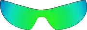 [OOWLIT] Lenses Compatible with Oakley Offshoot Sunglass