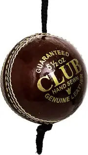 Cricket Balls (Knocking Cricket Ball)