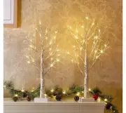 2 FT Birch Tree with LED Light, Fairy Light for Christmas Decor, Warm White. 2Pc
