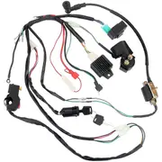 Wiring Harness CDI Ignition Coil Kit for 50cc 70cc 90cc 110cc ATV Electric Quad Vehicle, Full Vehicl