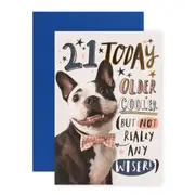 Connections from Hallmark 21st Birthday Card - Older and Cooler (But Not Wiser)