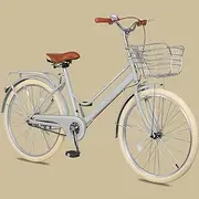 City Commuter Bicycle for Adult Men Women,Double Beam Frame Complete Cruiser Bikes for Travelling Riding Out,Adjustable Handlebar and Saddle,Rear Cargo Rack,Front and Rear Brakes