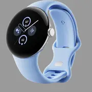 Google Pixel Watch 2 LTE (Polished Silver with Bay Active Band)