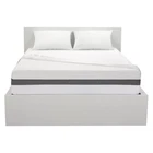 Pacific Coast Feather Protect-A-Bed Dust Mite Mattress Encasement