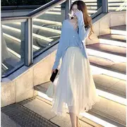 Elastic Waist Plain Sheer Midi A-Line Skirt Off-White - S