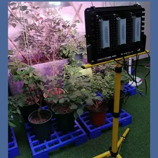 ♞﹍植物燈 室內陽光補光燈 花卉盆栽燈 多臺燈 太陽燈 室內節能燈泡省電太陽能led植物生長燈補光花卉蔬菜多太陽光戶外全