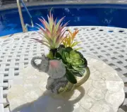 Decorative Planter with Elephant Pitcher Artificial Grass Succulent Plants