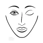 MAKEUP FACE CHART PORTFOLIO: EXTRA LARGE FACE CHART