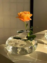 在飛比找Yahoo!奇摩拍賣優惠-Shinymomo創意玻璃花瓶透明球型圓形瓶法式玻璃球ins