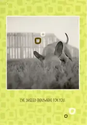 Miss You Missing I've Smelled Everywhere For You Dog Sniff Theme Hallmark Card