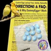 Dummy Eggs 10 CANARY PLASTIC BIRD EGGS STOP LAYING! Non-Toxic Speckled Blue USA