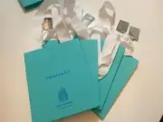 Tiffany & Co NYC Exclusive Fifth Ave Flagship VIP Gift Bag with Charm