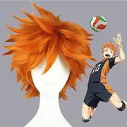Hinata Shoyo Wigs Luca Curly Short Dark Brown Cosplay Wigs Heat Resistant Synthetic Hair Wig Halloween Wigs