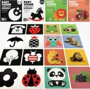 High Contrast Baby Flashcard,80 Pcs 160 Page Visual Stimulation Learning Acti...