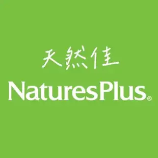 【美國 NaturesPlus 天然佳】無味大蒜精膠囊 1入(1入/90顆)