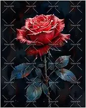 Flower Paint by Numbers Kit for Adults - DIY Deep Red Rose on Black Background Painting on Canvas 16x20 Inches, Acrylic Paint Set, Suitable for Beginners,Romantic Art for Decoration or Gifts