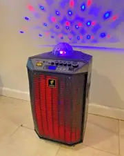 Karaoke Machine TONOR Portable Bluetooth Speaker with 2 Wireless Microphones